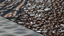 Close-up collage of textured surfaces: a weathered bark pattern, shiny brown coffee beans, and soft, wavy fabric. Close-up collage of textured surfaces: a weathered bark pattern, shiny brown coffee beans, and soft, wavy fabric.