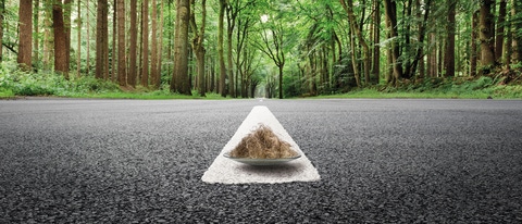 A road through a lush green forest with a white line that appears three-dimensional. In the middle of the street, there are brown fiber bonds on a glass pane. A road through a lush green forest with a white line that appears three-dimensional. In the middle of the street, there are brown fiber bonds on a glass pane.