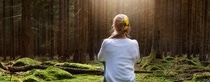 A woman with a flower in her hair sits peacefully on lush green moss, surrounded by tall trees, with sunlight streaming through the forest canopy.